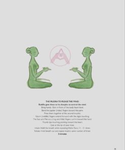 Alternative view of Bridges and Boundaries: Heart Centered Meditations and Kriyas